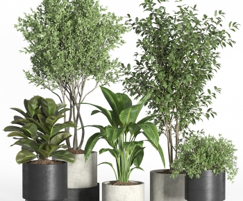 Modern Ground Green Plant Potted Plants-ID:693761119