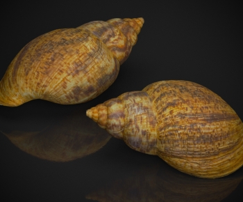 Modern Aquatic Product-ID:957509991