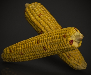 Modern Vegetables-ID:532540083