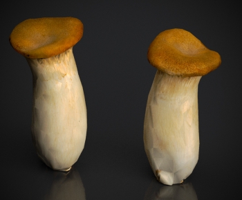 Modern Vegetables-ID:910686978