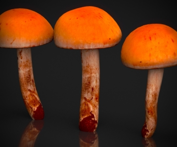 Modern Vegetables-ID:278604981