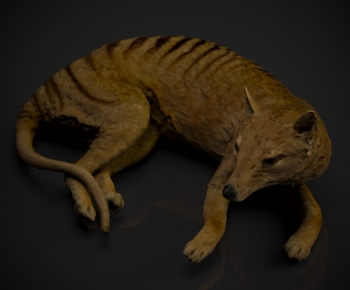 Modern Mammal-ID:194813016