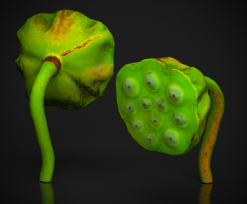 Modern Fruit-ID:867279057