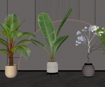 现代落地绿植盆栽组合-ID:773180018