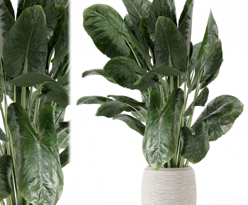 Modern Ground Green Plant Potted Plants-ID:298562056