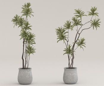 Modern Ground Green Plant Potted Plants-ID:126600371