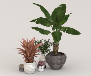 Modern Potted Green Plant-ID:736233008