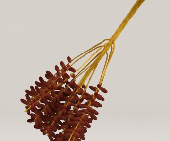 Modern Fruit-ID:392079119