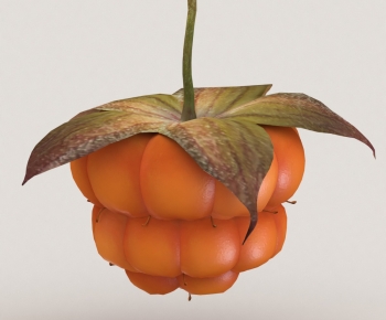 Modern Fruit-ID:633776902