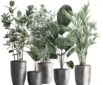 Modern Ground Green Plant Potted Plants-ID:832650729