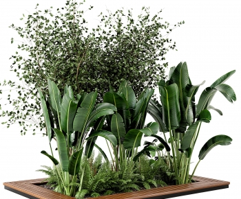 Modern Plant Pile-ID:845518115