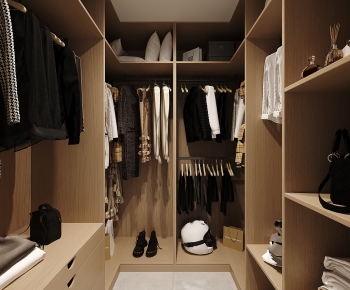 Modern Clothes Storage Area-ID:594233995