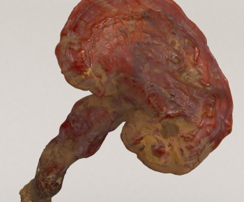 Modern Specialty Cooked Food Dry Goods-ID:200936088