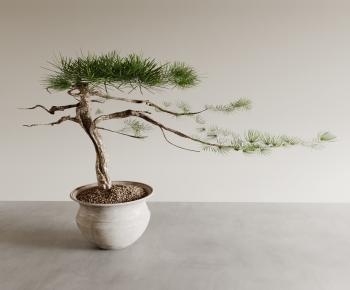 New Chinese Style Bonsai-ID:189029934