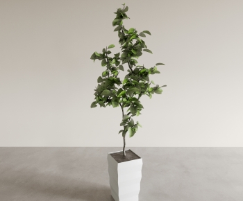 Modern Ground Green Plant Potted Plants-ID:553599127