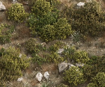 Modern Shrubbery-ID:768512964