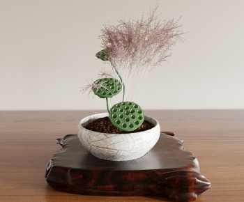 Modern Bonsai-ID:664628033