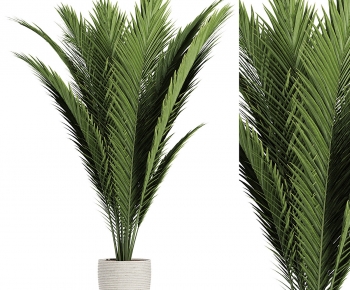 Modern Ground Green Plant Potted Plants-ID:342112068