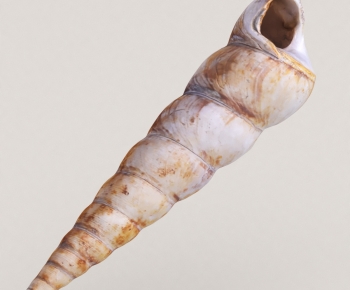 Modern Aquatic Animals-ID:646050069