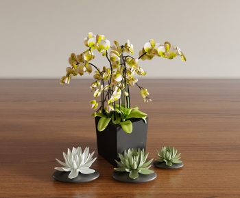 Modern Desktop Plant-ID:360090971