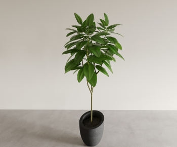 Modern Ground Green Plant Potted Plants-ID:696731097