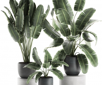 Modern Ground Green Plant Potted Plants-ID:754928115
