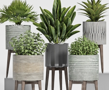 Modern Potted Green Plant-ID:493880037