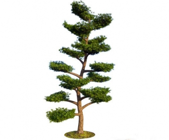 Modern Tree-ID:133948095