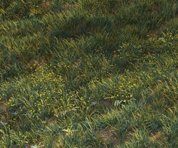 Modern Flowers And Grass-ID:400538926