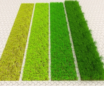 Modern The Grass-ID:459928997