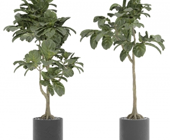 Modern Ground Green Plant Potted Plants-ID:625540024