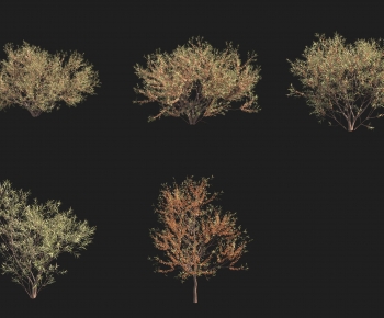 Modern Shrubbery-ID:767497067