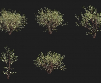 Modern Shrubbery-ID:516611102