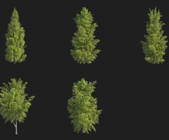 Modern Shrubbery-ID:356282953