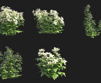 Modern Shrubbery-ID:773153074