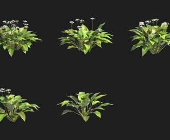 Modern Flowers And Grass-ID:146289117