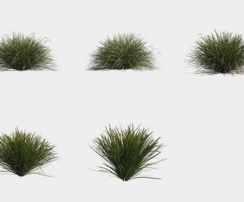 Modern Shrubbery-ID:689219953