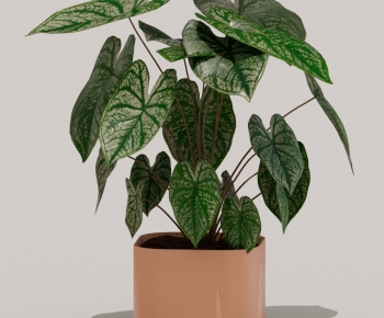 Modern Potted Green Plant-ID:503459936