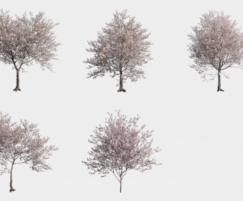 Modern Tree-ID:648338085