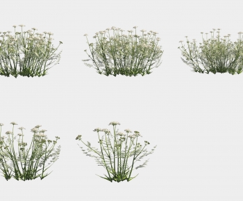 Modern Flowers And Grass-ID:975023032