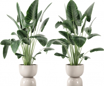 Modern Ground Green Plant Potted Plants-ID:635828022