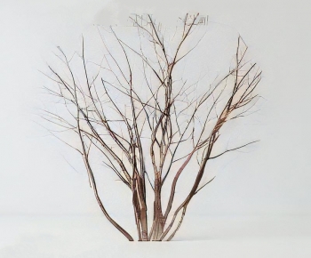 Modern Tree-ID:104620552