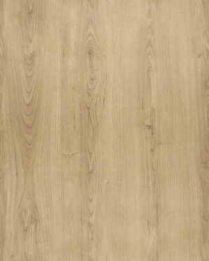 ModernWood Texture