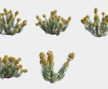 Modern Shrubbery-ID:481421953