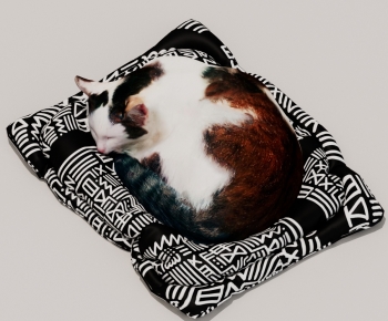 Modern Animal Cat-ID:293505911