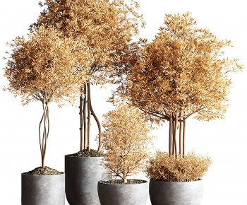 Modern Ground Green Plant Potted Plants-ID:225675116