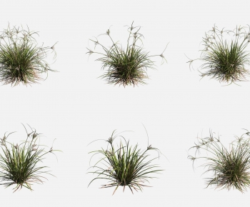 Modern Plant-ID:529148106