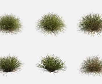 Modern The Grass-ID:833172083