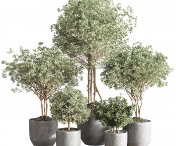 Modern Ground Green Plant Potted Plants-ID:900516997