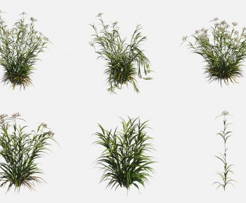 Modern Plant-ID:567795045